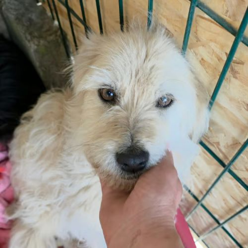 Photo #3 de LADY SUNSHINE