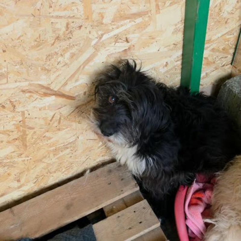 Photo #2 de ANNA MARY