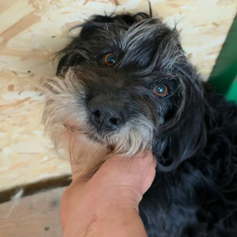 Photo #3 de ANNA MARY