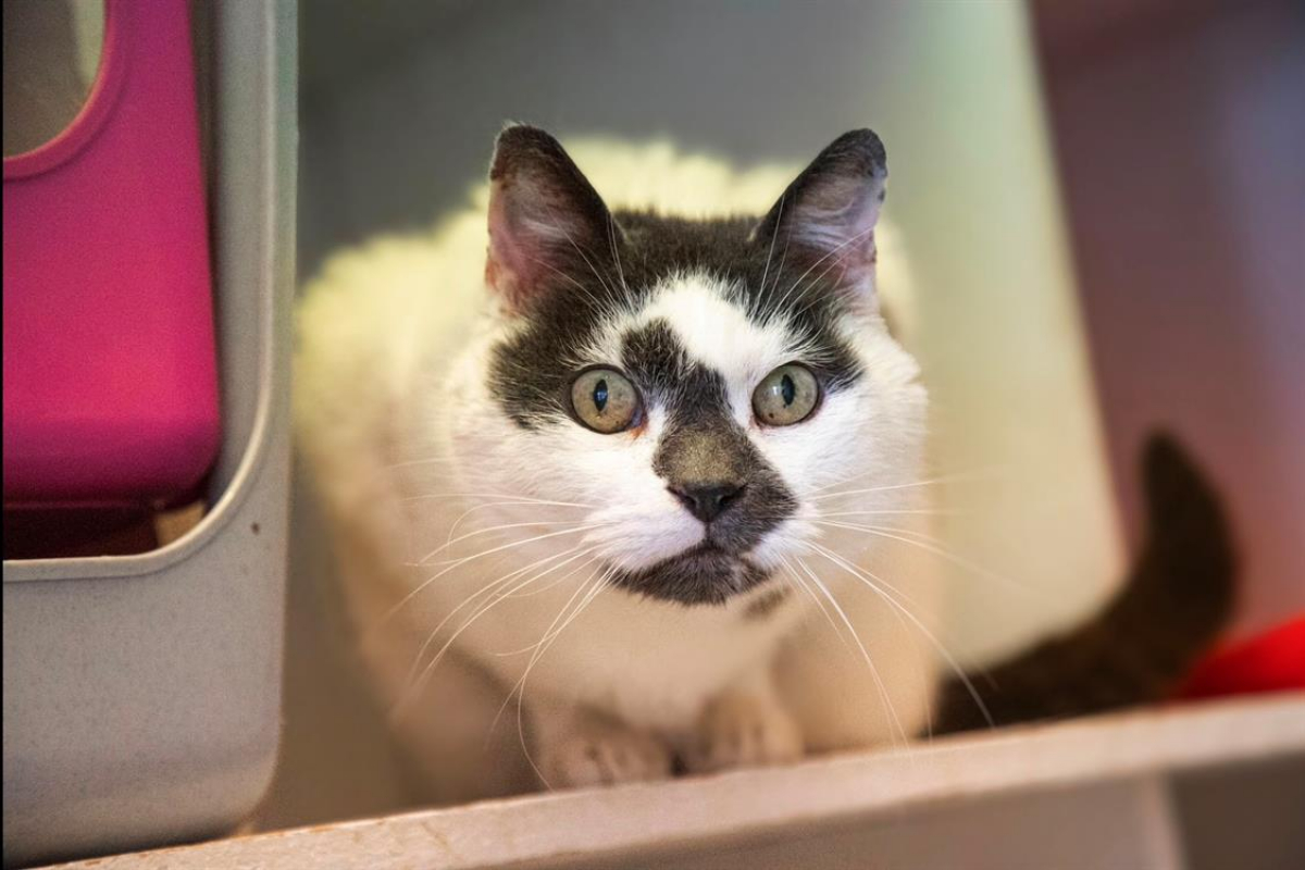 Photo #1 de Christian