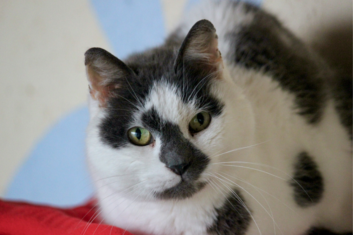 Photo #2 de Christian