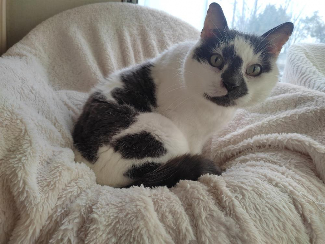 Photo #3 de Christian