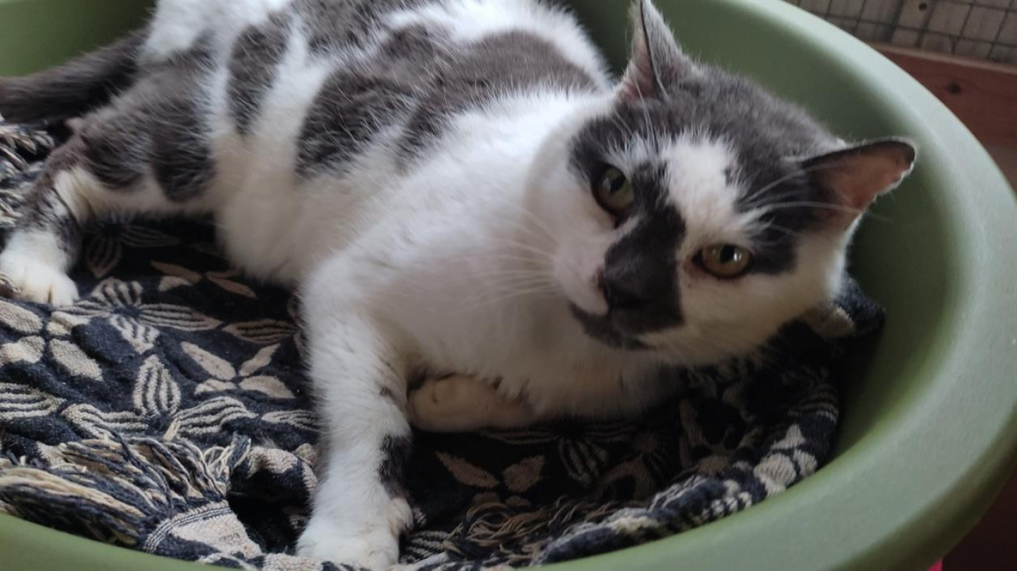 Photo #5 de Christian