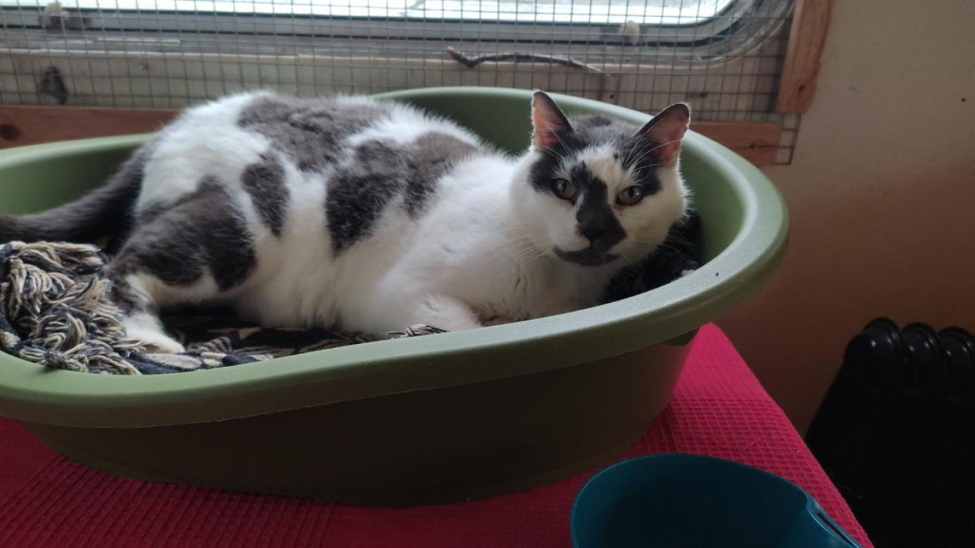 Photo #6 de Christian