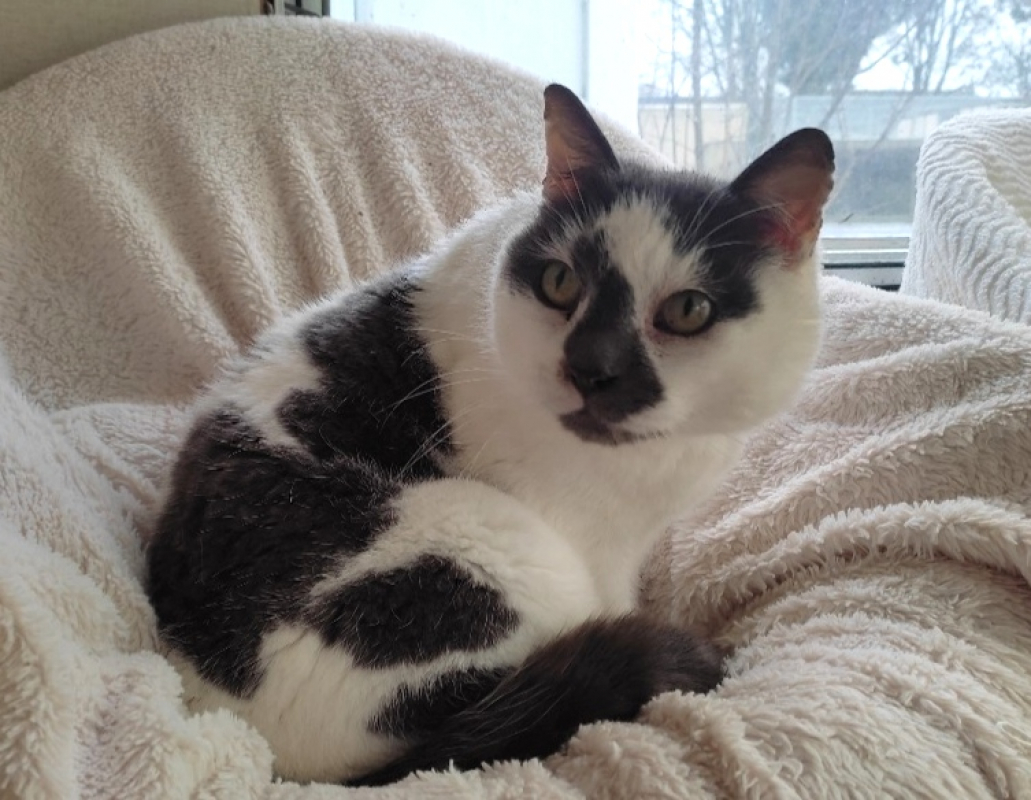 Photo #7 de Christian