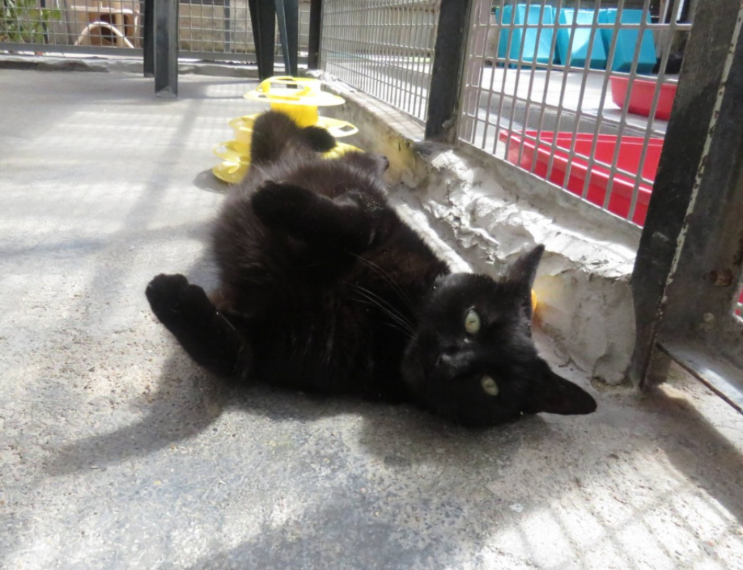 Photo #2 de Roudoudou