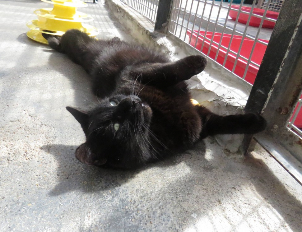 Photo #3 de Roudoudou