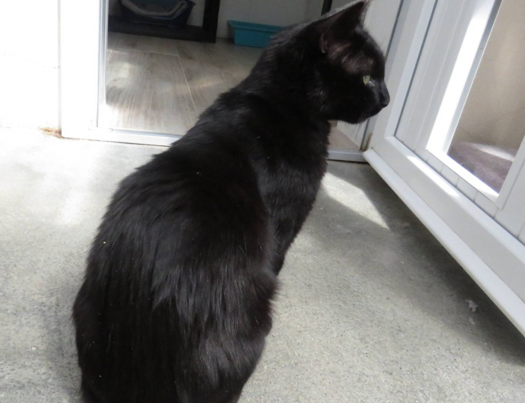 Photo #4 de Roudoudou