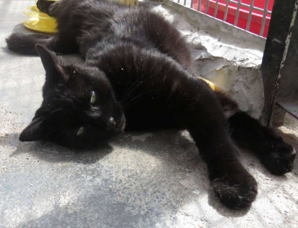 Photo #5 de Roudoudou