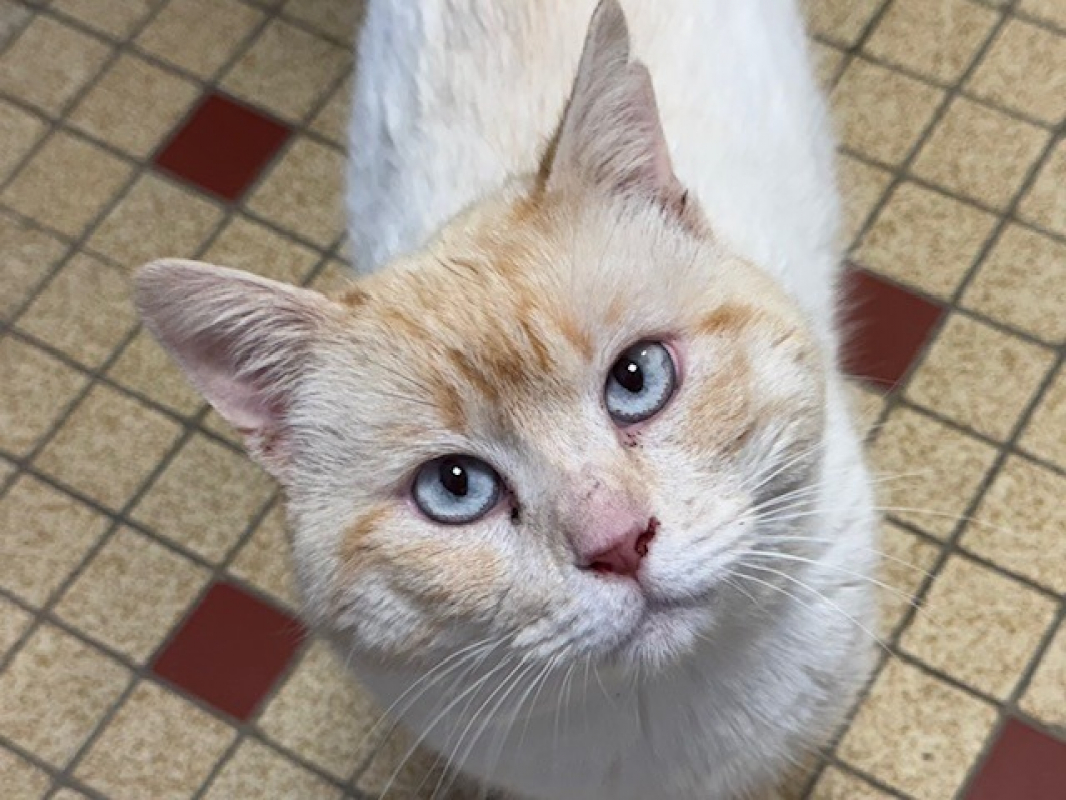 Photo #1 de Tuttifrutti