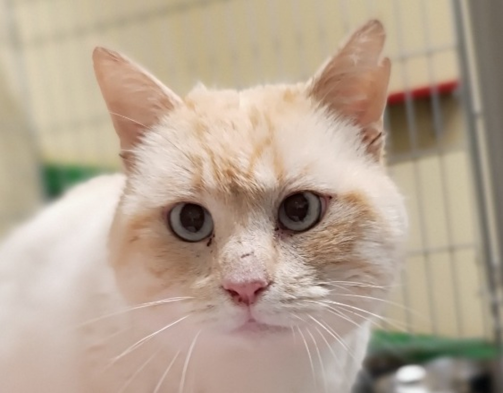 Photo #2 de Tuttifrutti