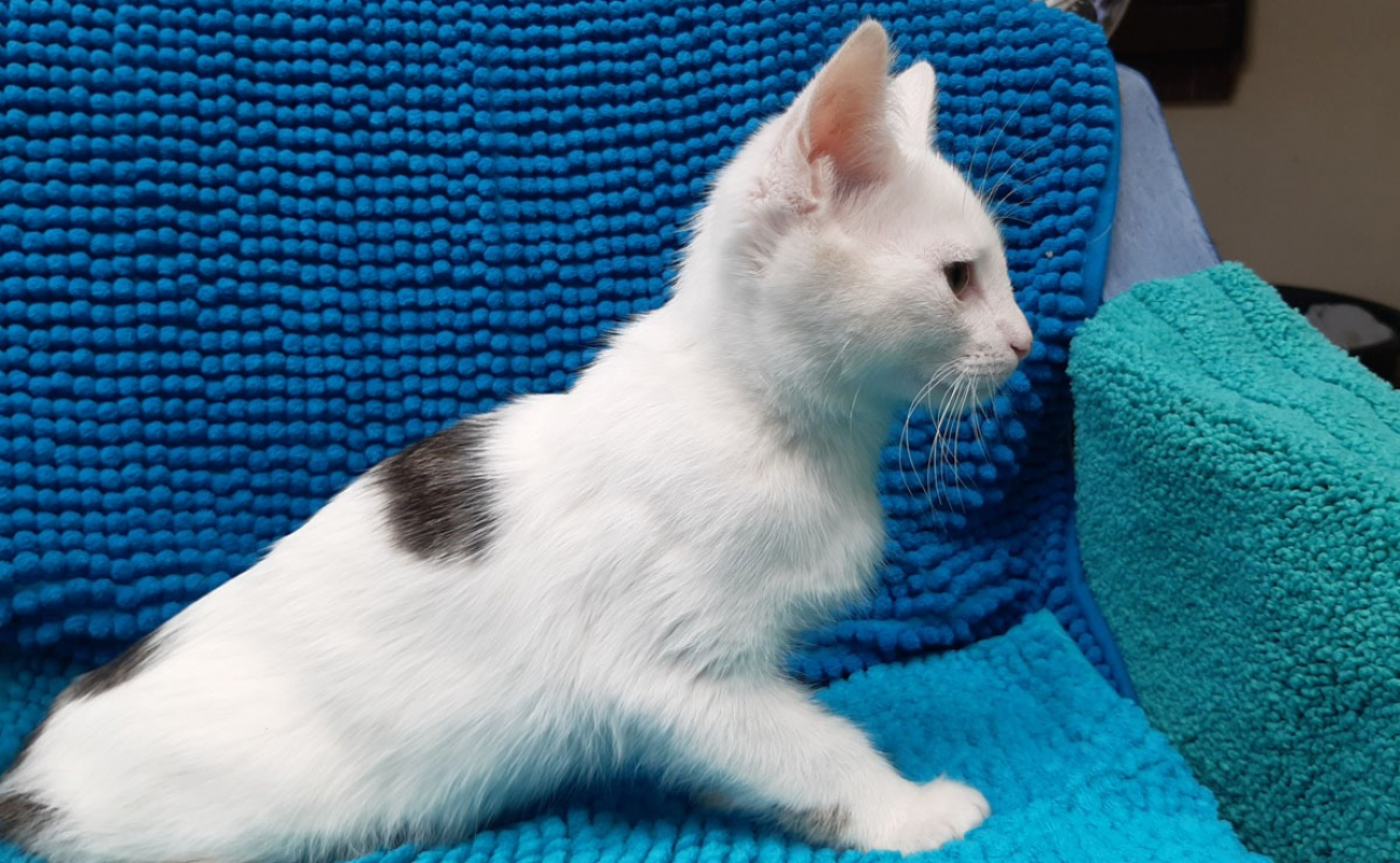 Photo #3 de Poticoeur