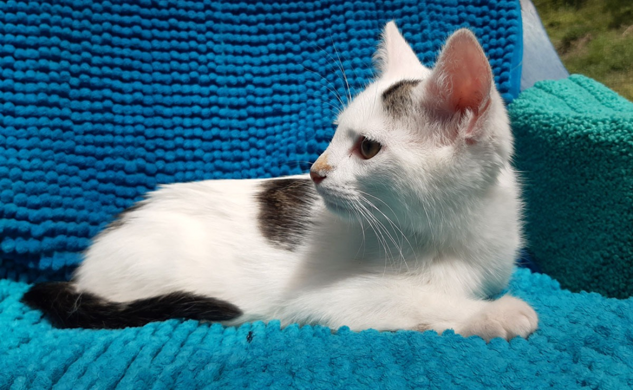 Photo #7 de Poticoeur