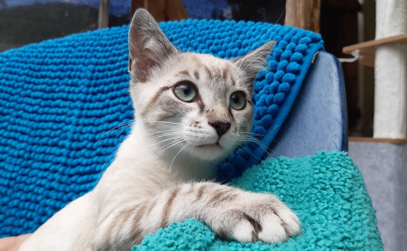 Photo #1 de Potiflip