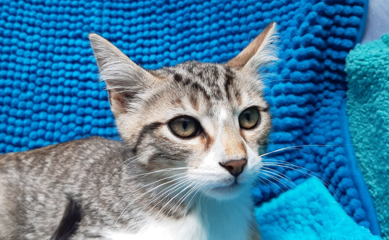 Photo #1 de Potifuit