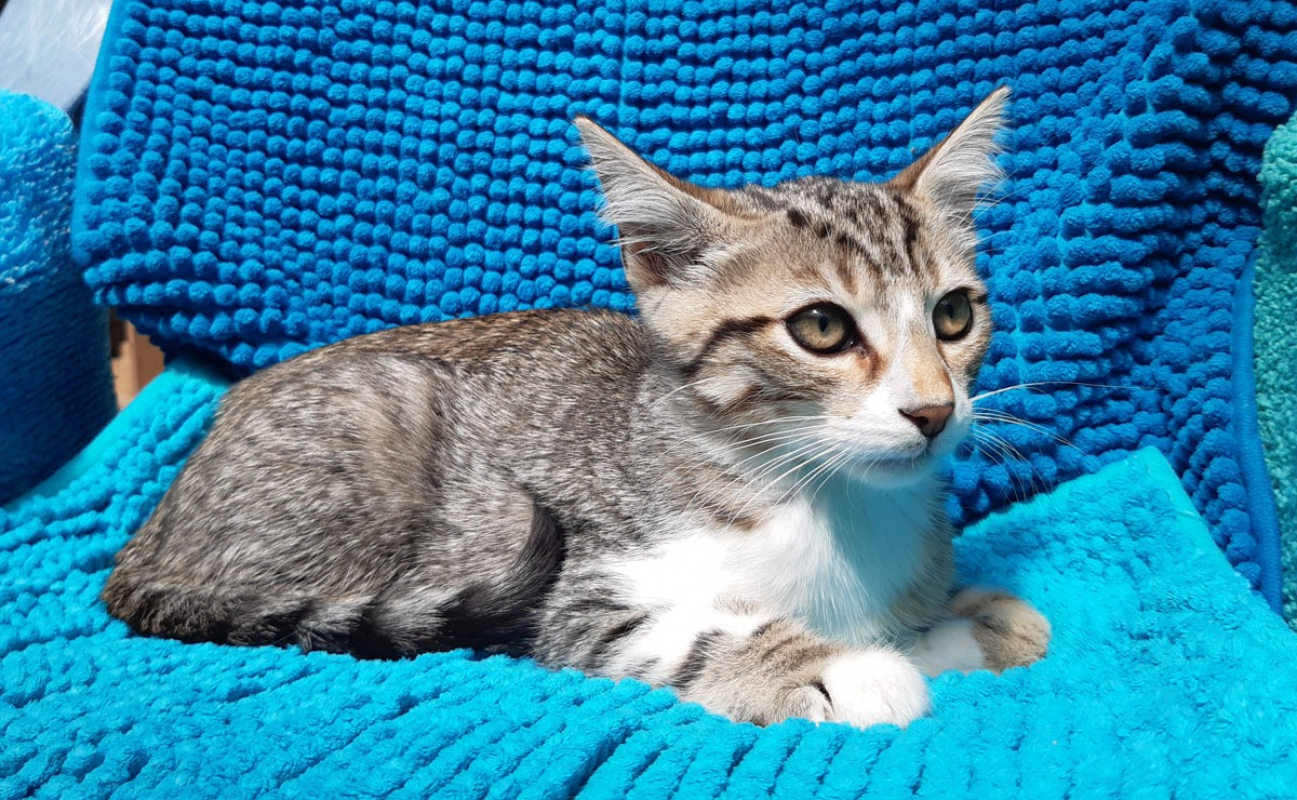 Photo #4 de Potifuit