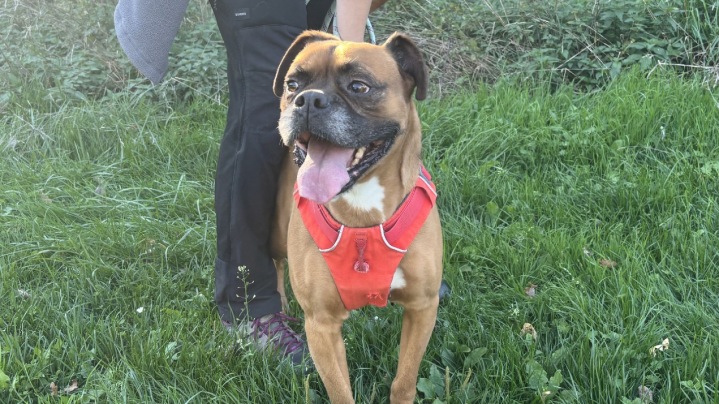 Photo #1 de Magnesium vaa