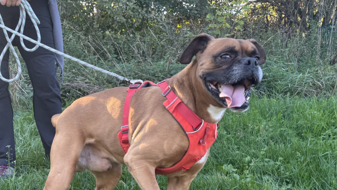 Photo #3 de Magnesium vaa