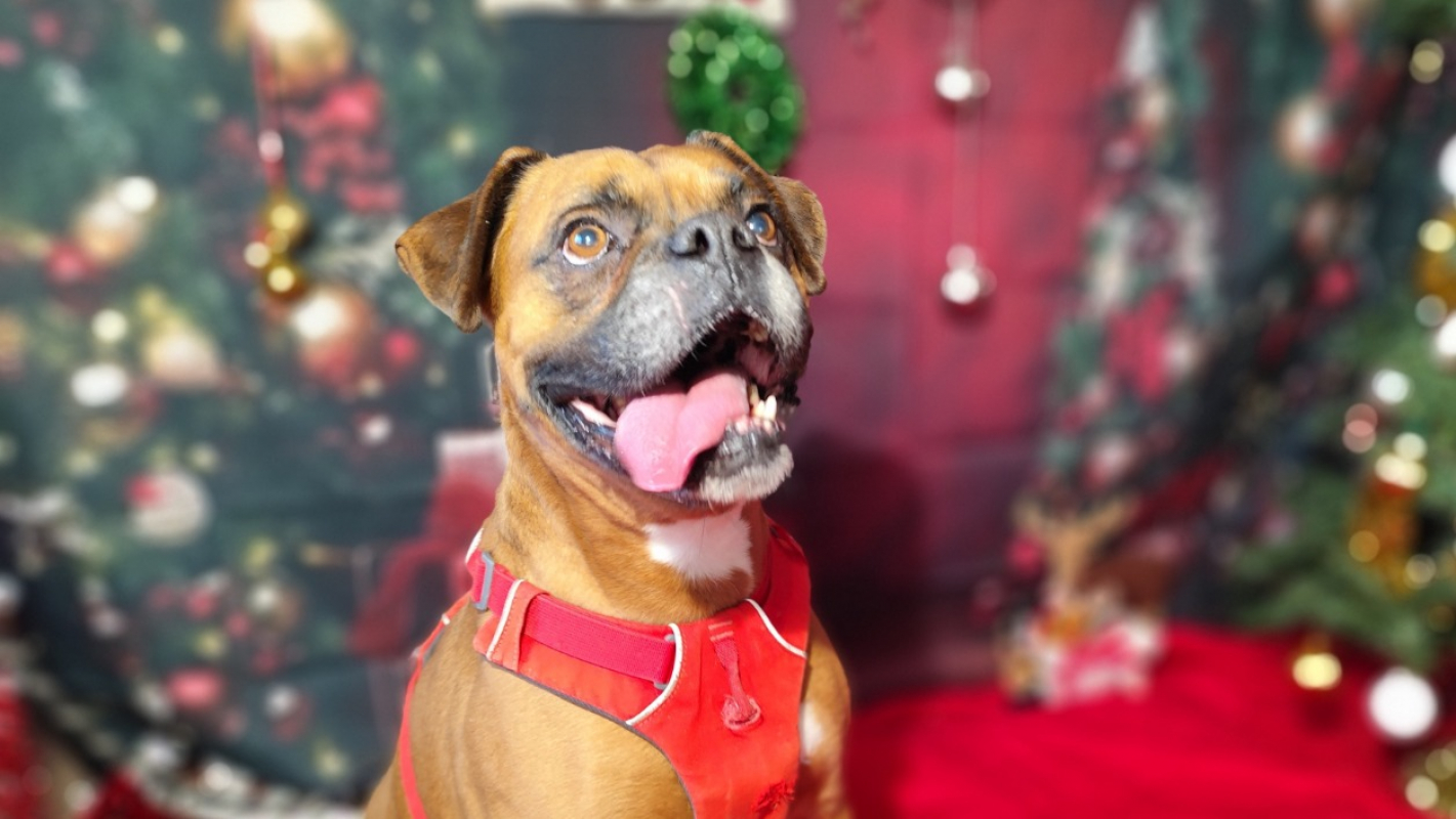 Photo #1 de Magnesium