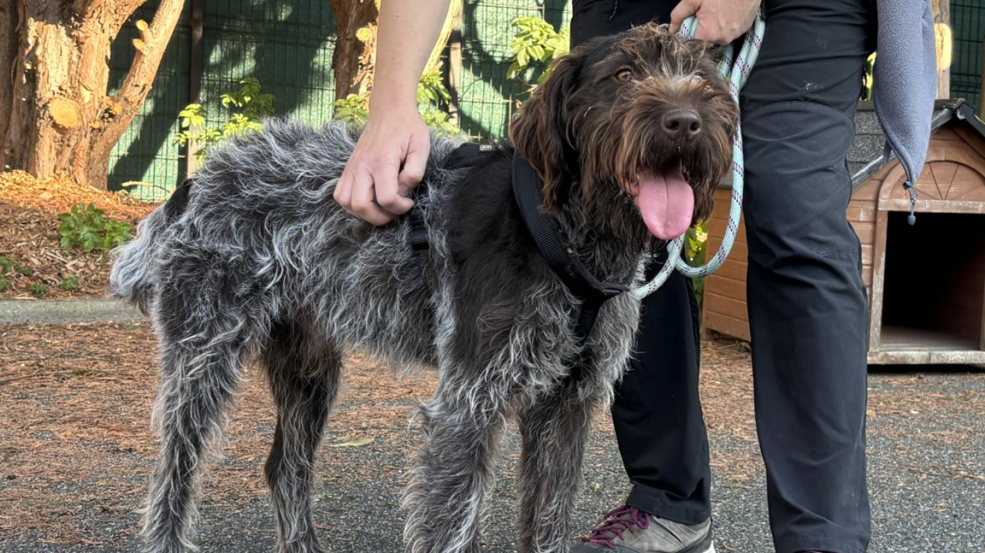 Photo #1 de Potassium vaa