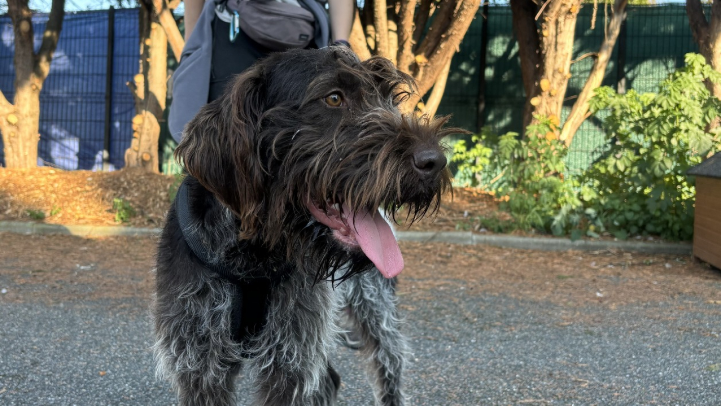 Photo #2 de Potassium vaa