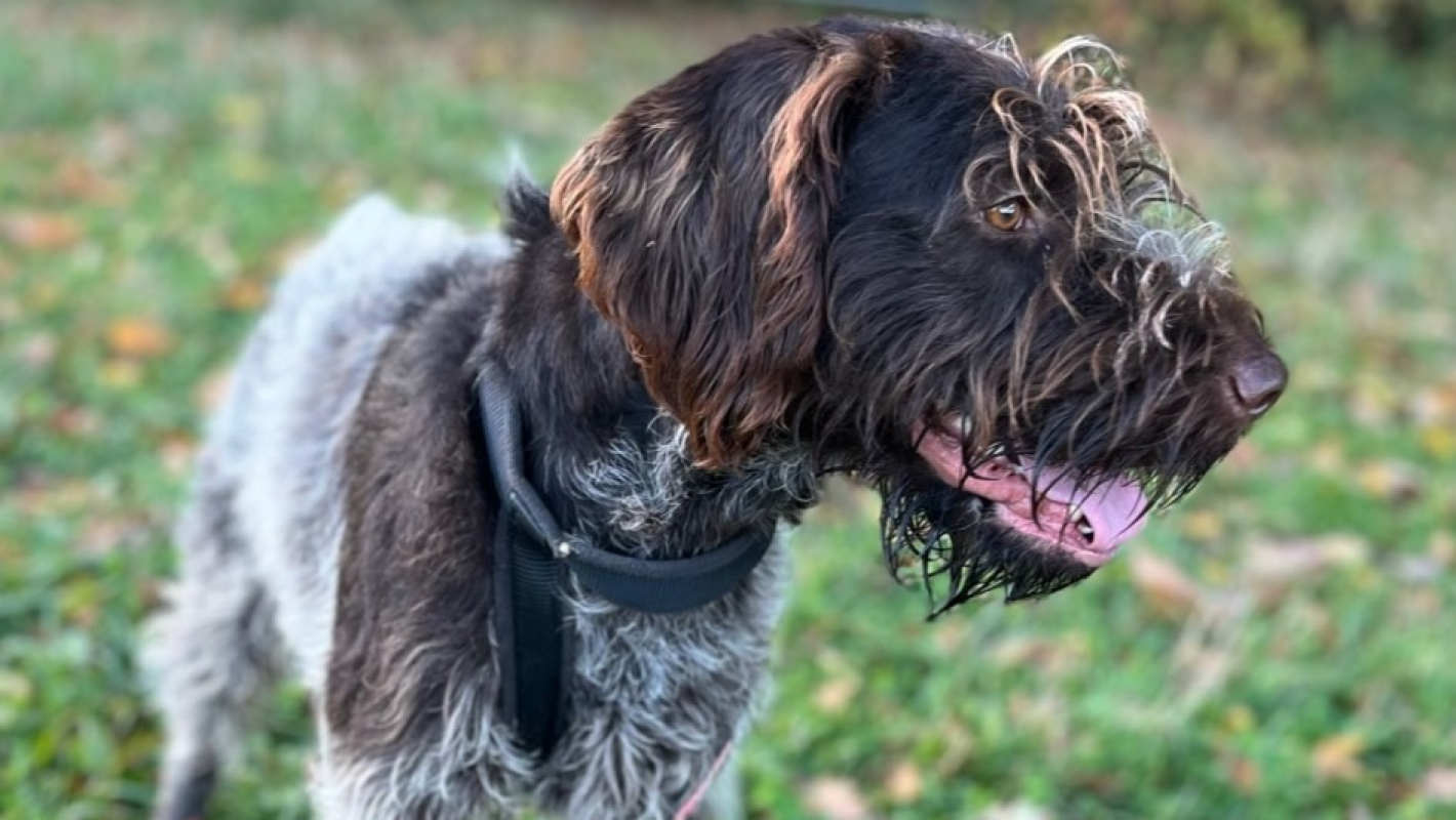 Photo #6 de Potassium vaa