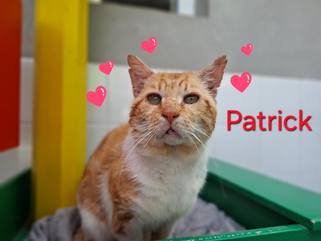 Photo de Patrick