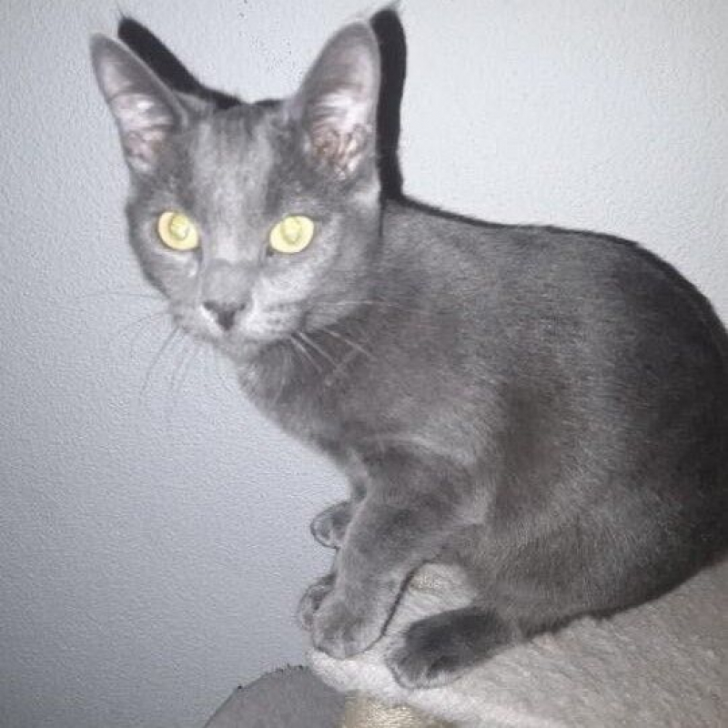 Photo #1 de Bichette