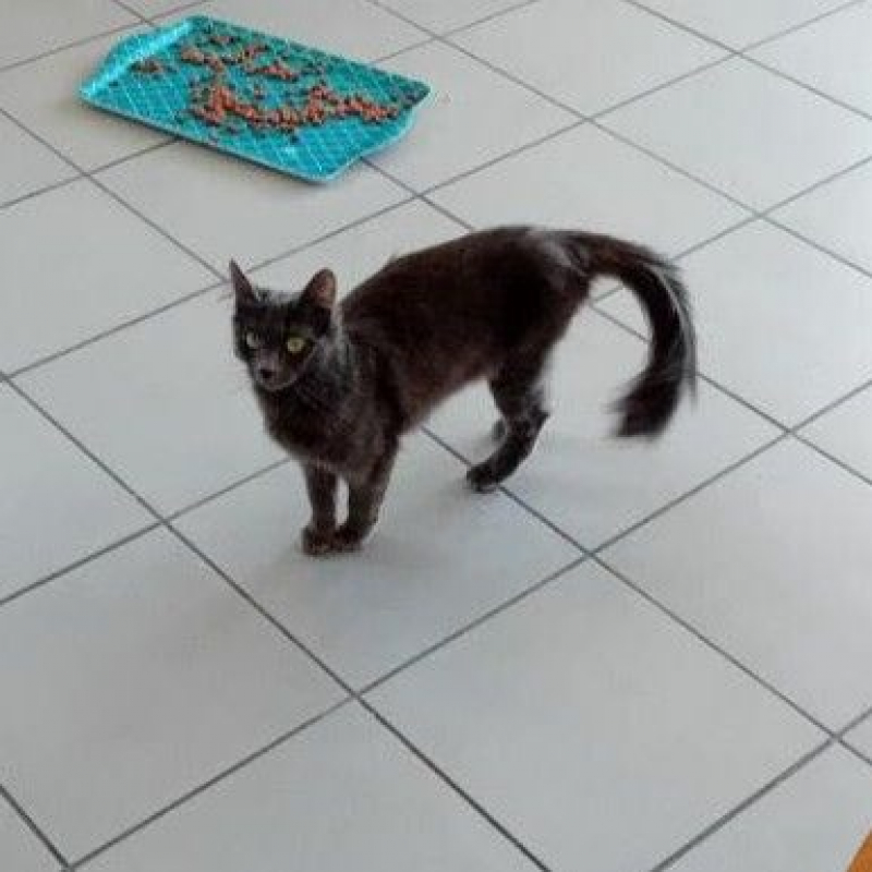 Photo #3 de Bichette