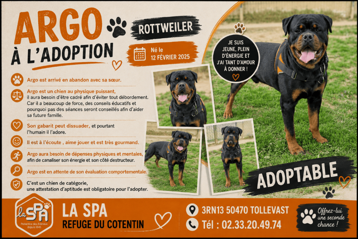 Photo de Argo