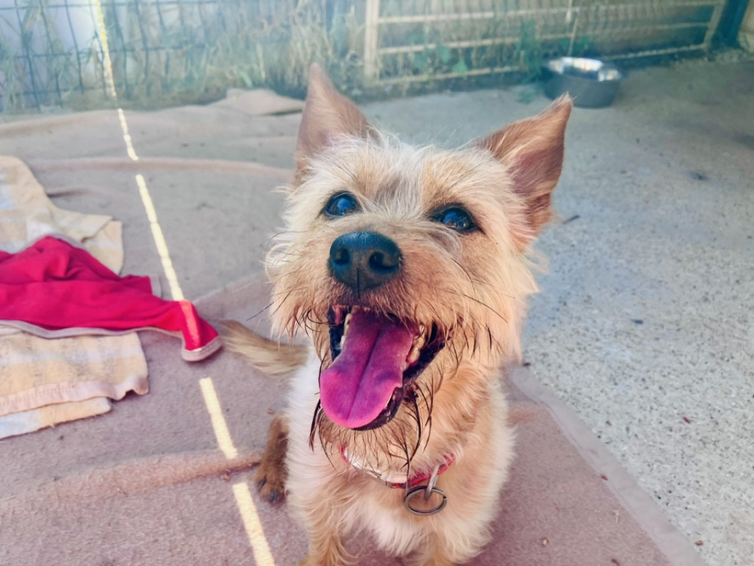 Photo #2 de Juanimba