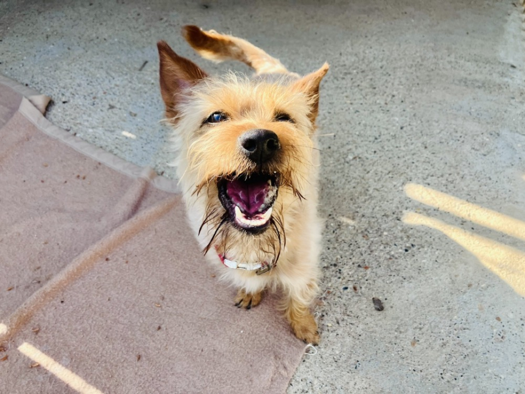 Photo #3 de Juanimba