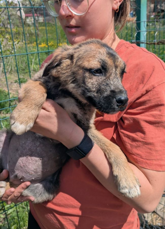 Photo #2 de Bourgeon