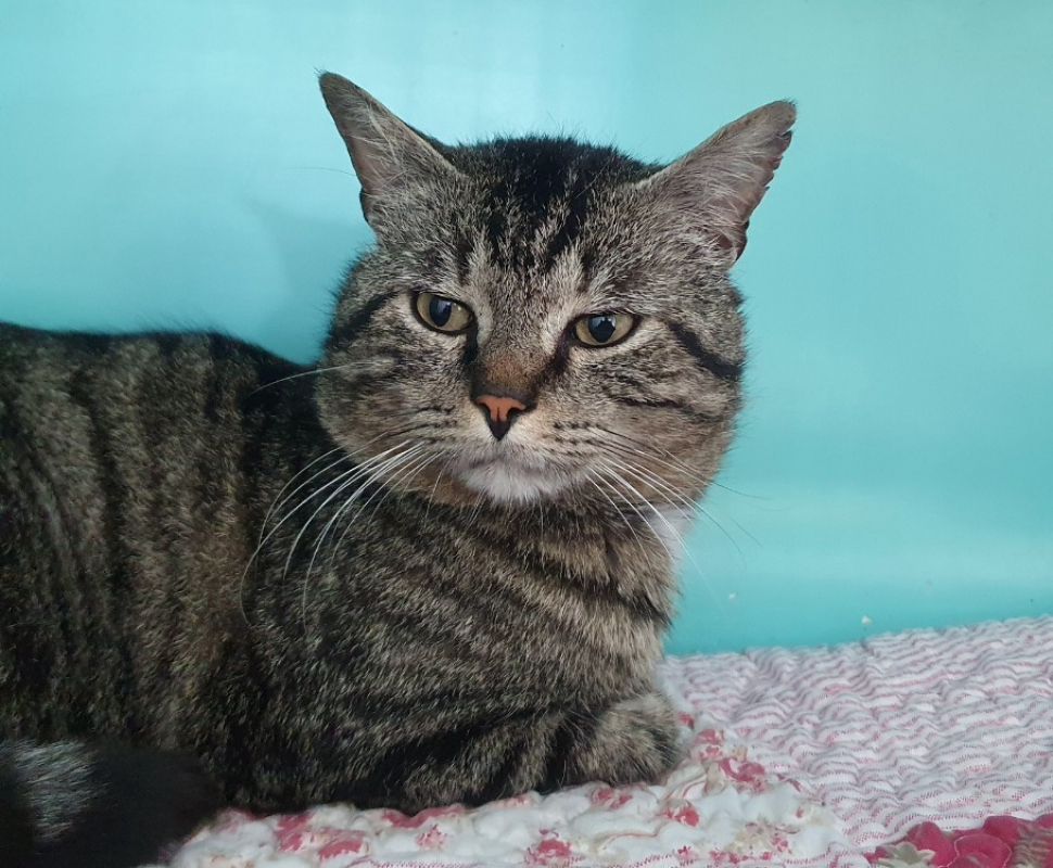 Photo #1 de Squatteur