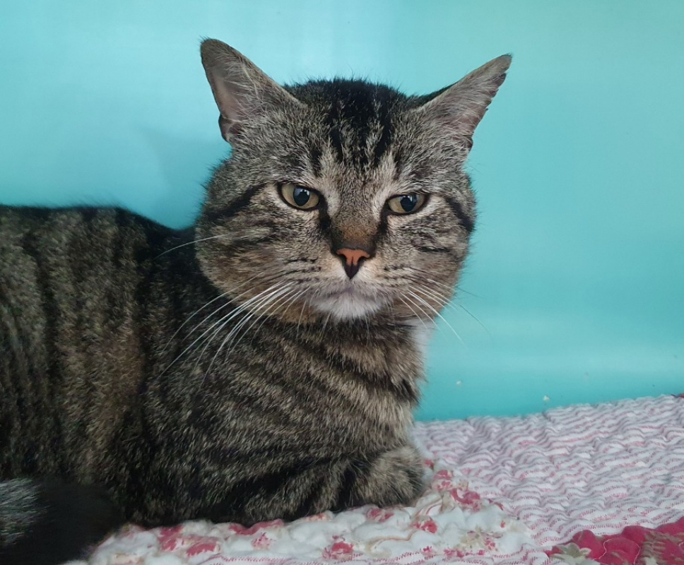 Photo #2 de Squatteur