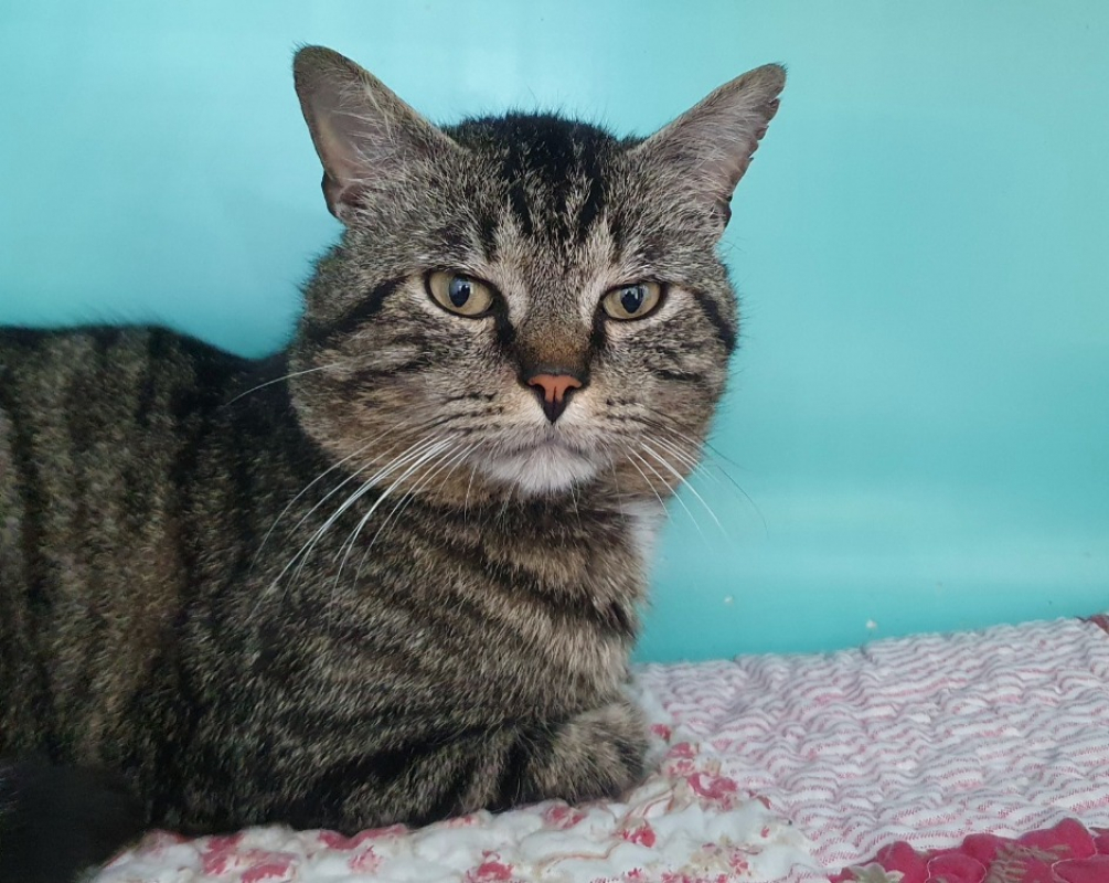 Photo #4 de Squatteur