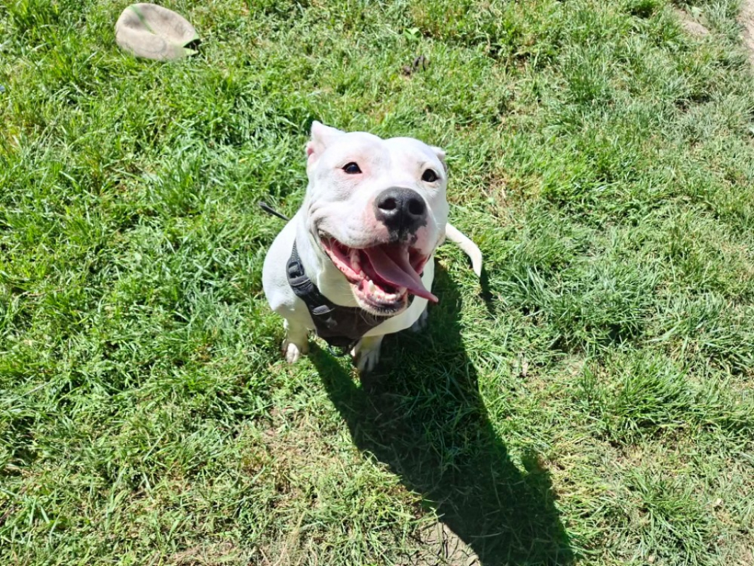 Photo de Athena