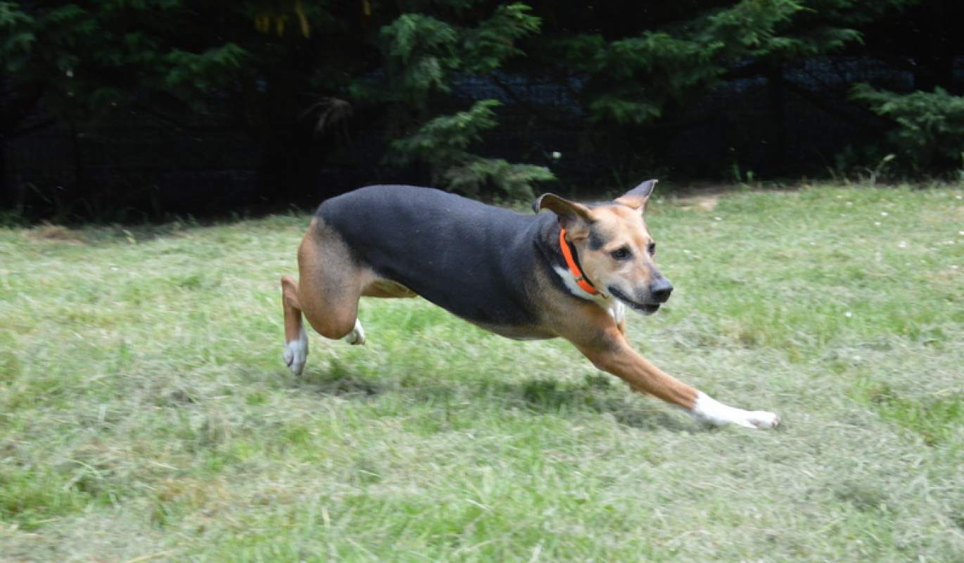 Photo #6 de Kalou