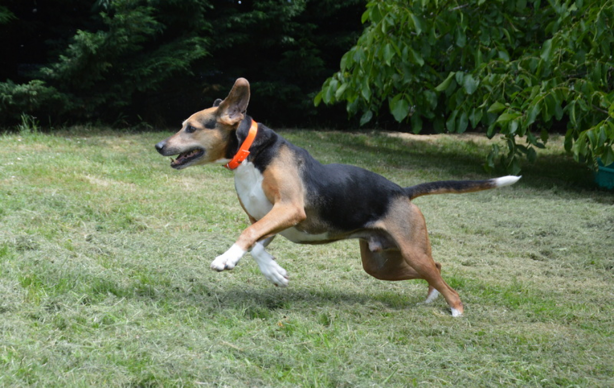 Photo #9 de Kalou