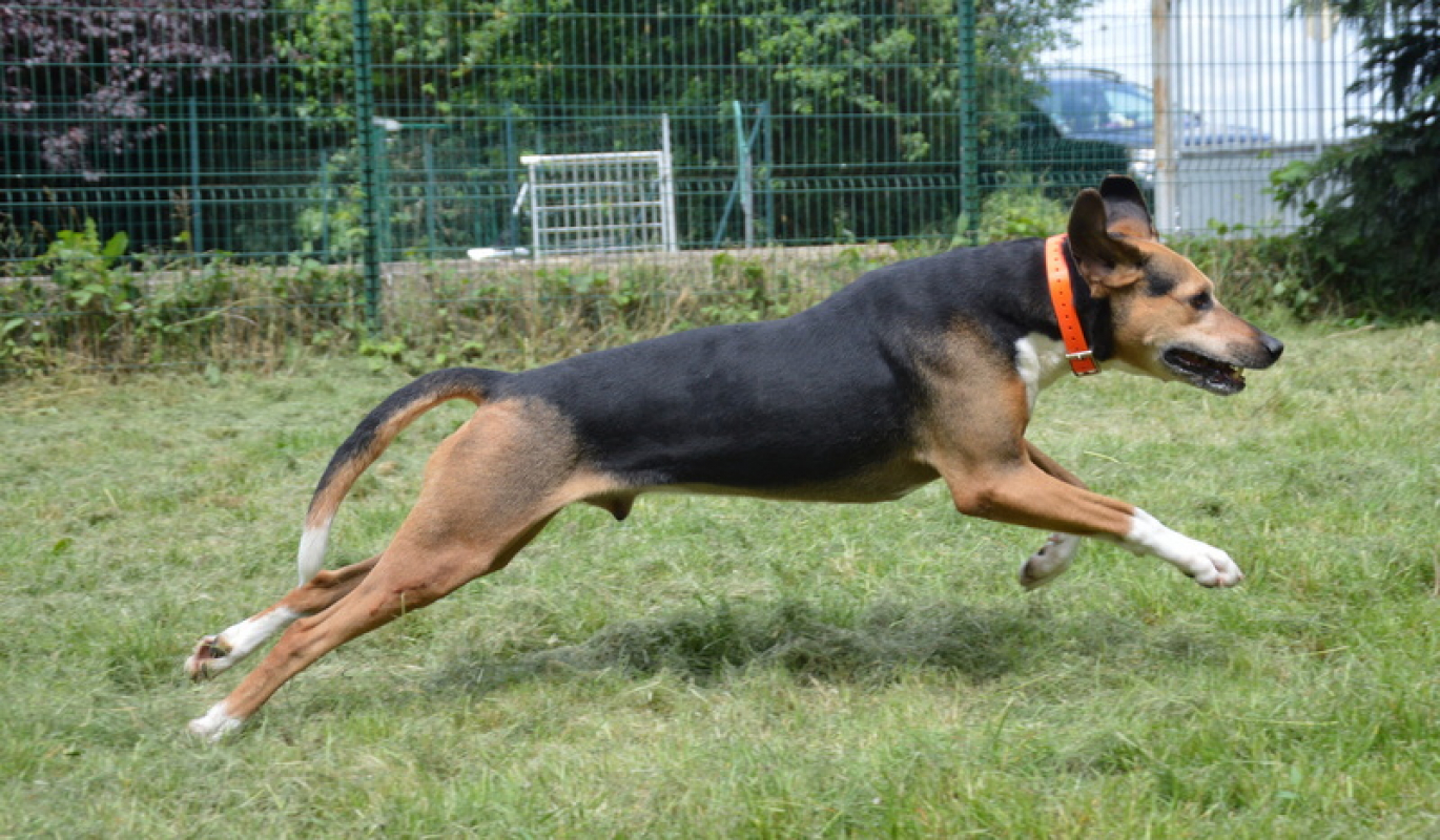 Photo #9 de Kalou