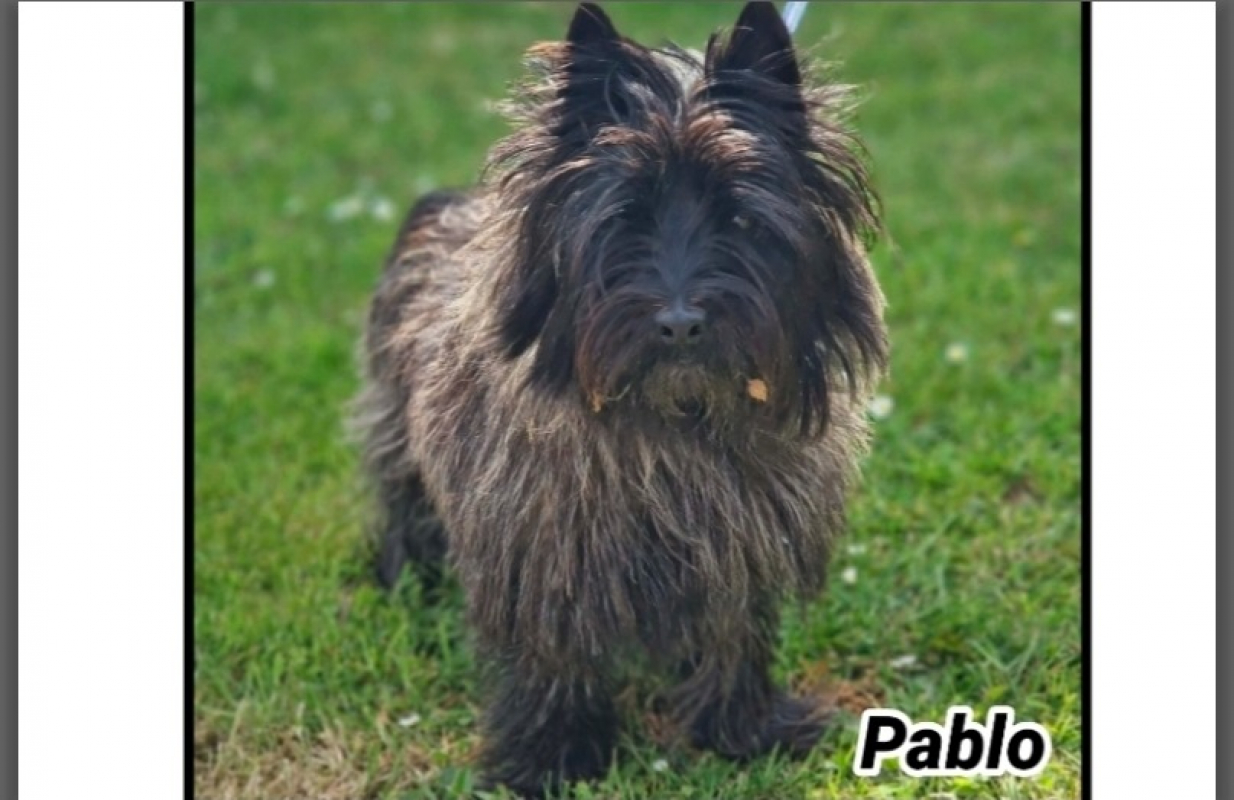 Photo de Pablo