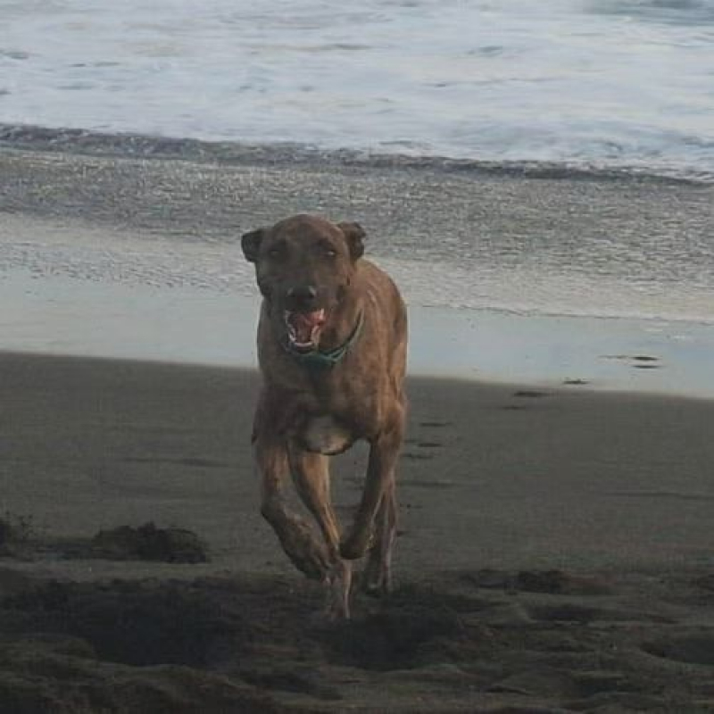 Photo #5 de HARU