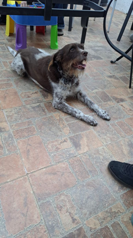 Photo #1 de HUGO