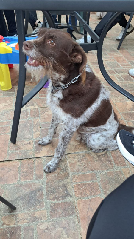 Photo #2 de HUGO