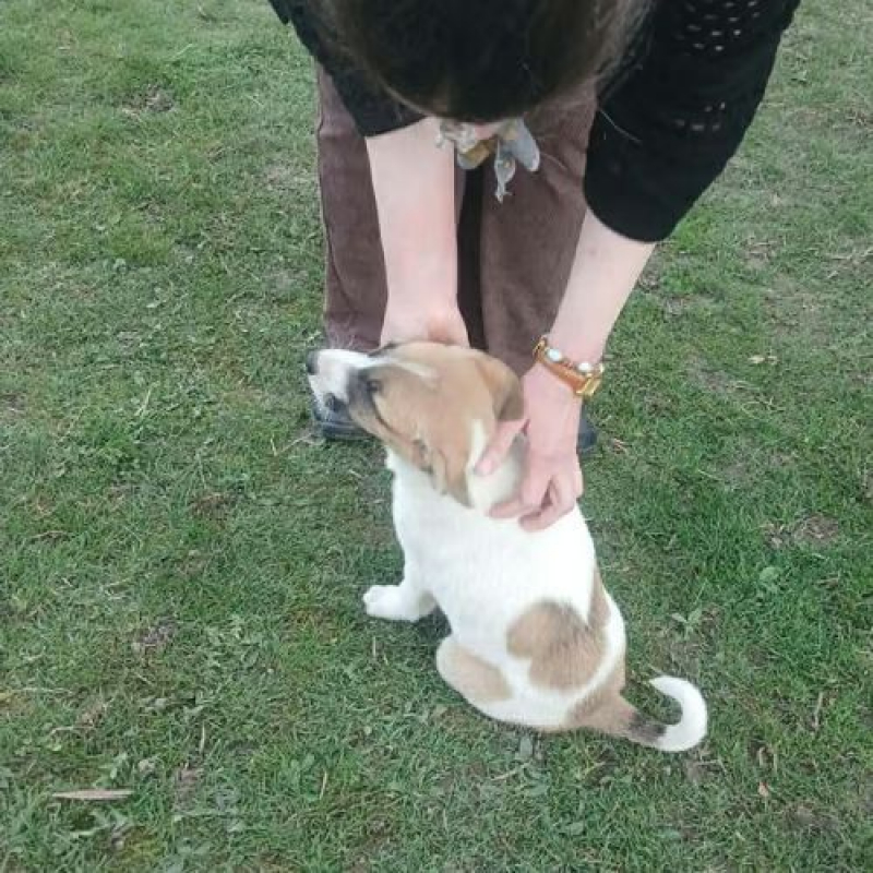 Photo #2 de BARNEY