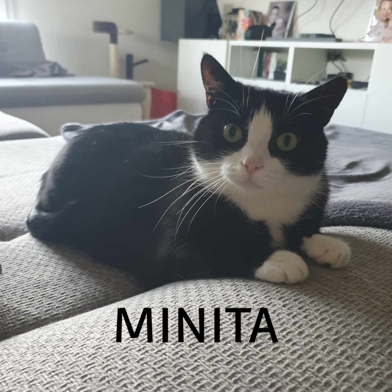 Photo de Minita