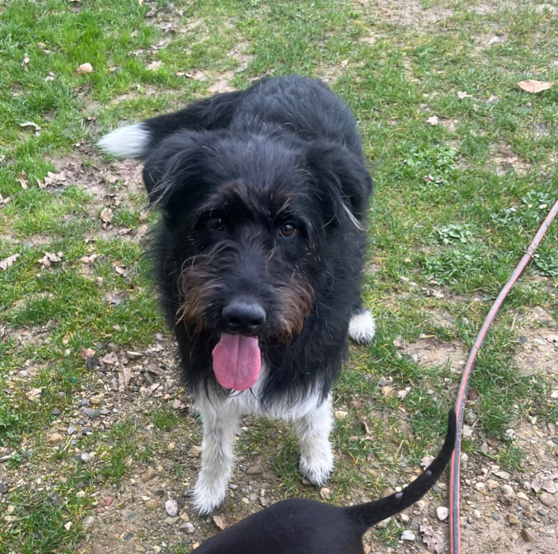 Photo #2 de MILO