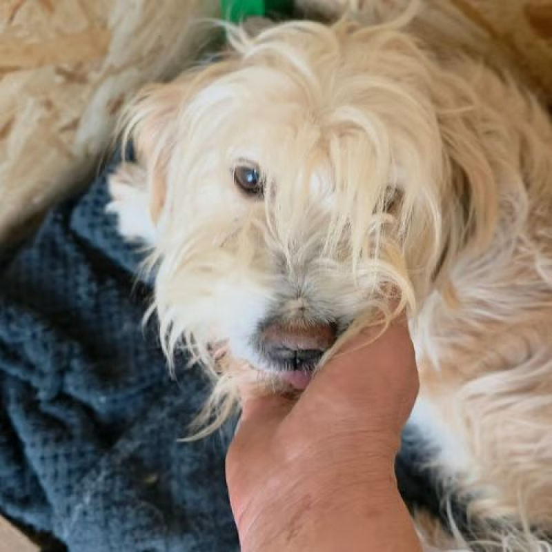 Photo #2 de LUCKY