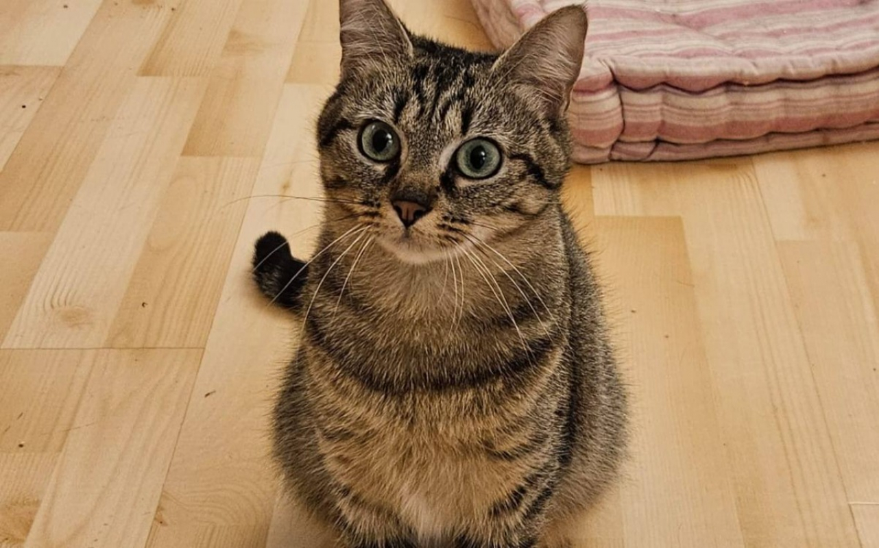 Photo de Zai