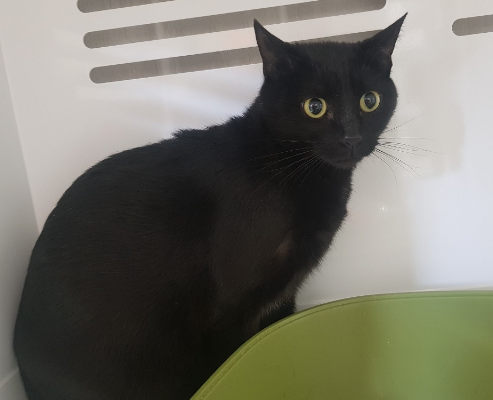 Photo de Mia